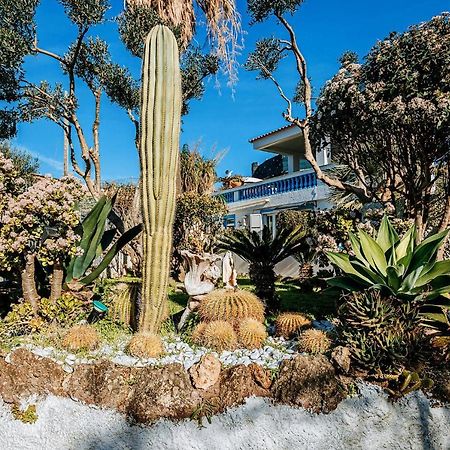 Appartamenti Ischia Casa Don Peppe Forio di Ischia Exterior foto