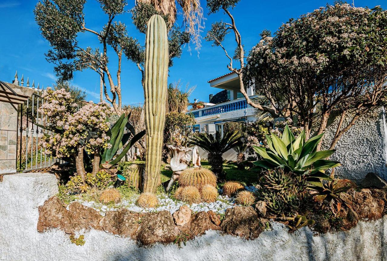 Appartamenti Ischia Casa Don Peppe Forio di Ischia Exterior foto